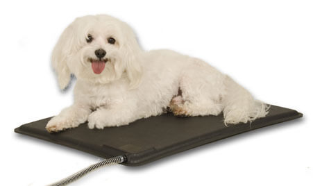 heating pad for arthritic dog