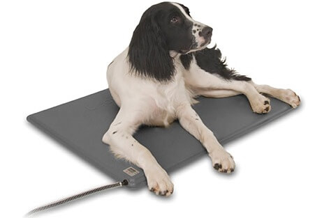 heating pad for dogs