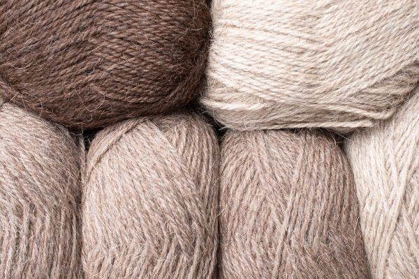 Merino Wool vs. Cashmere